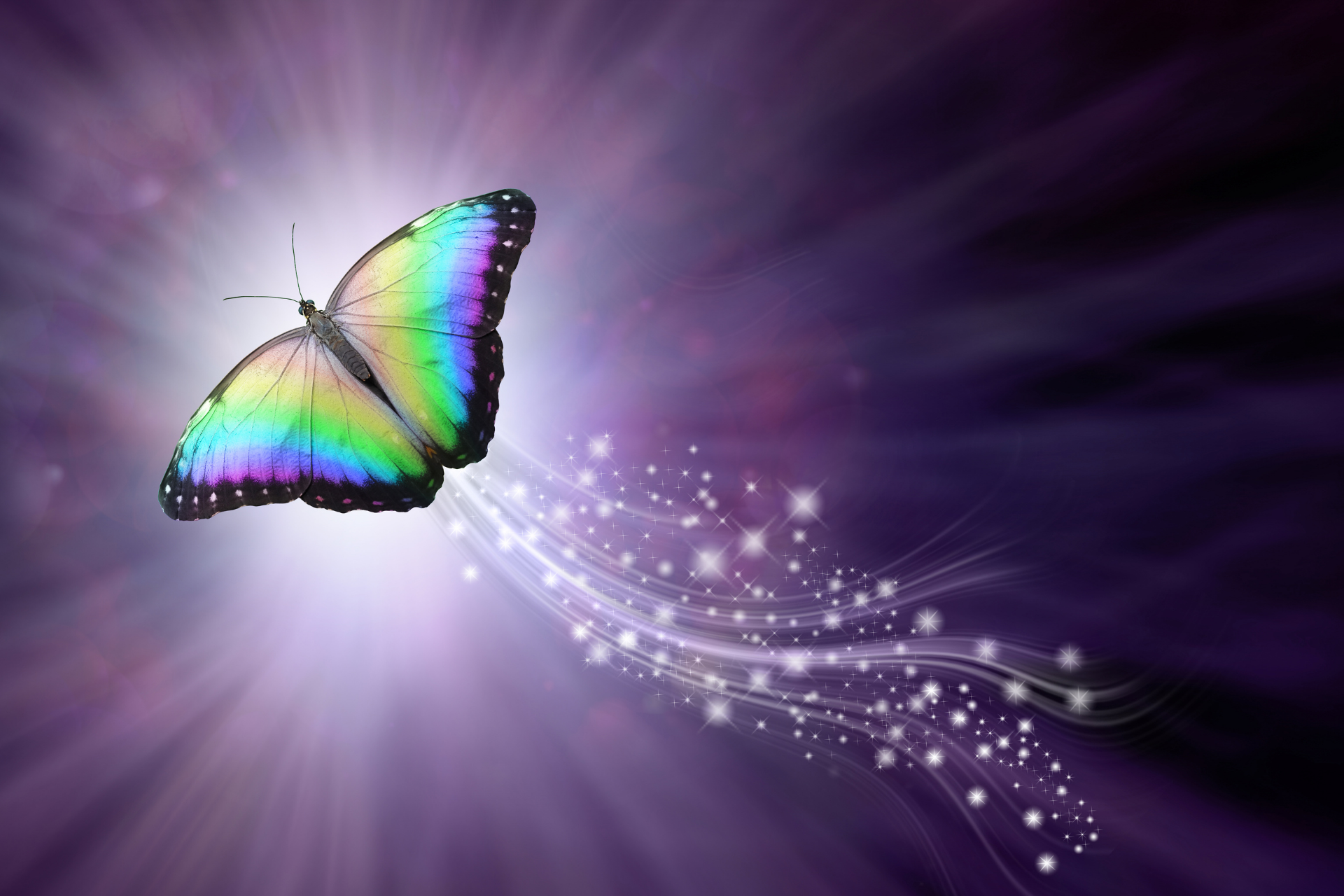 THE JOURNEY OF THE SOUL