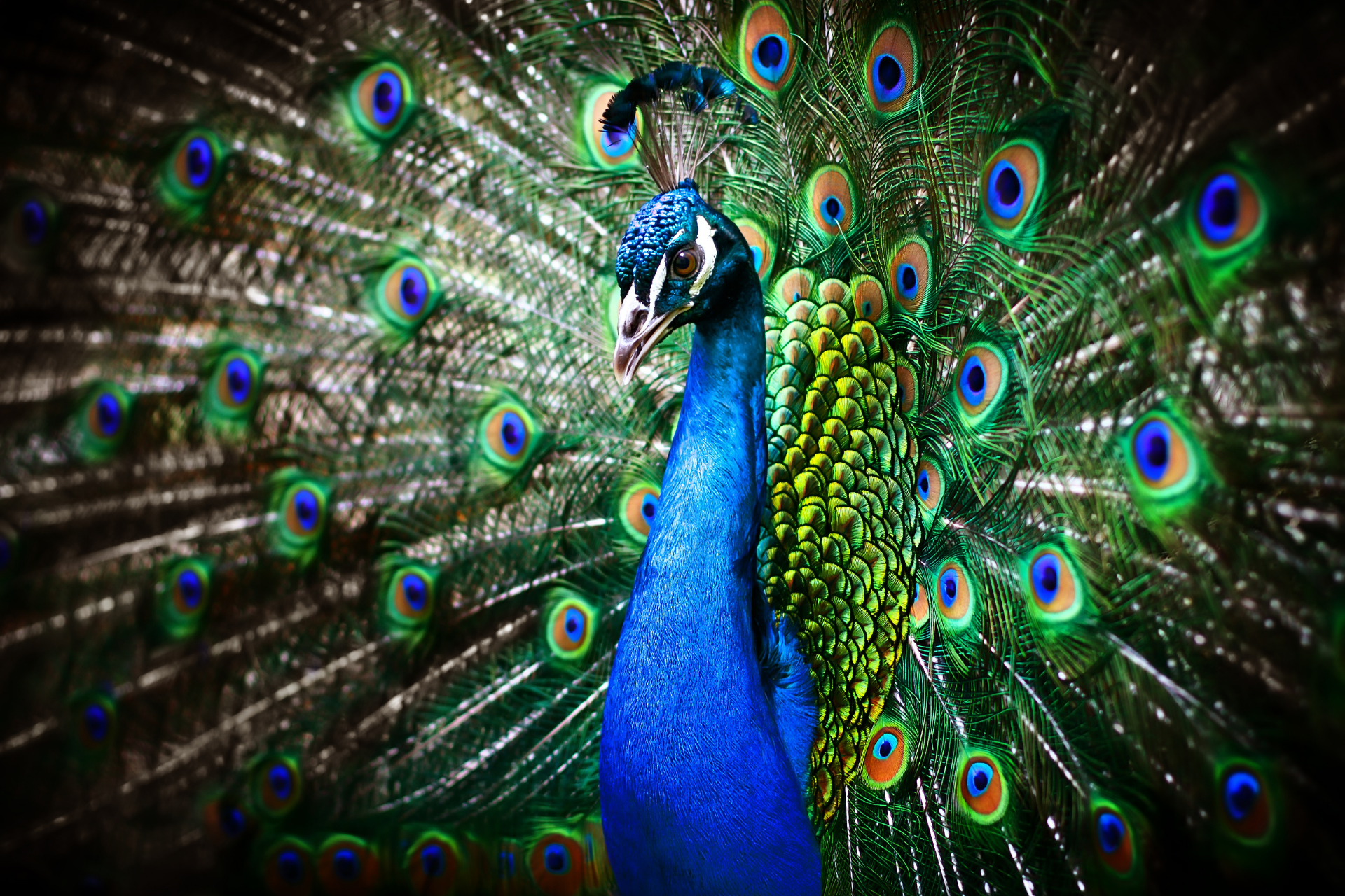 INFUSION OF SPIRITUALITY