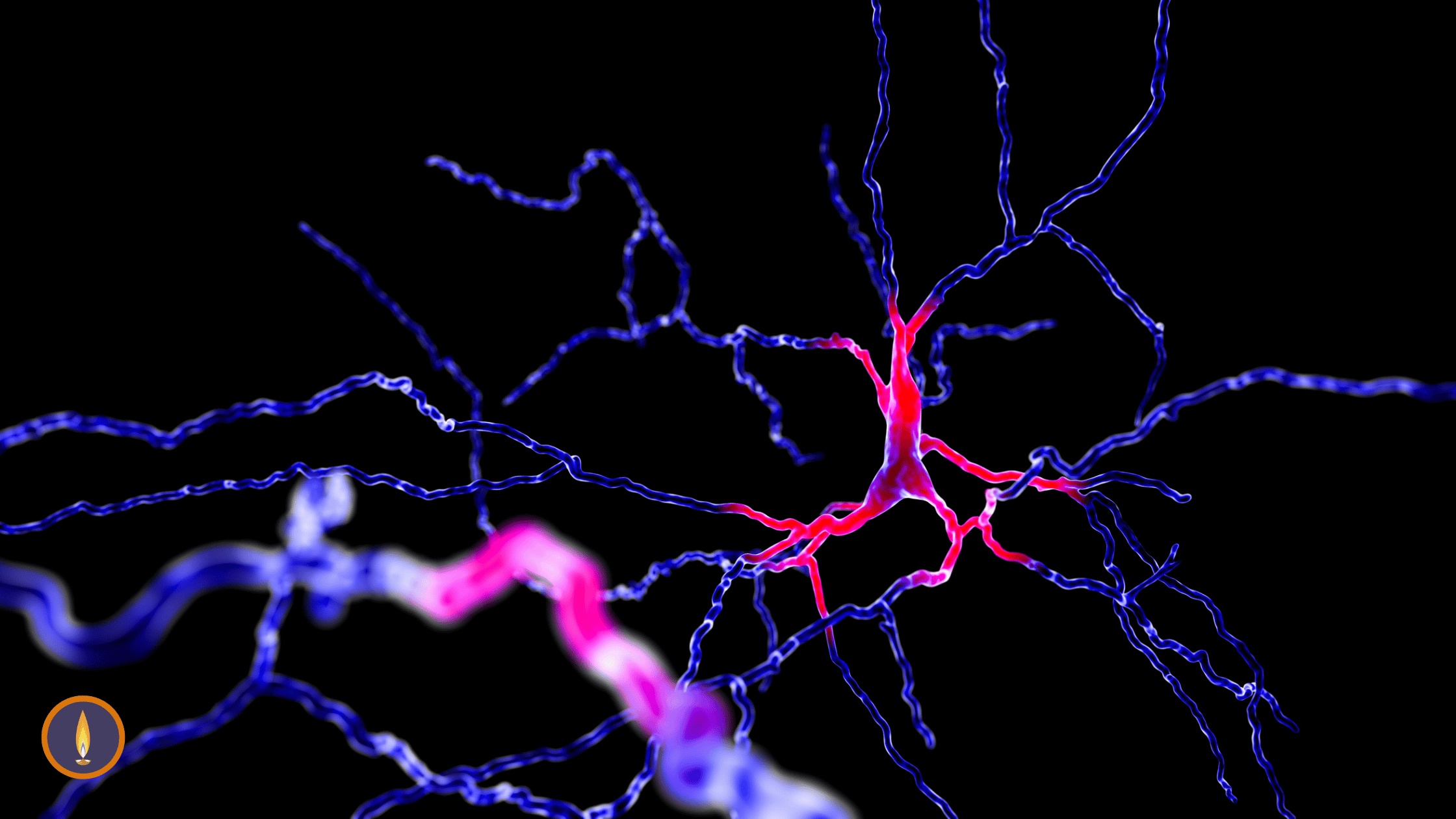 Cognitive Brain enhance through FISU Meditation