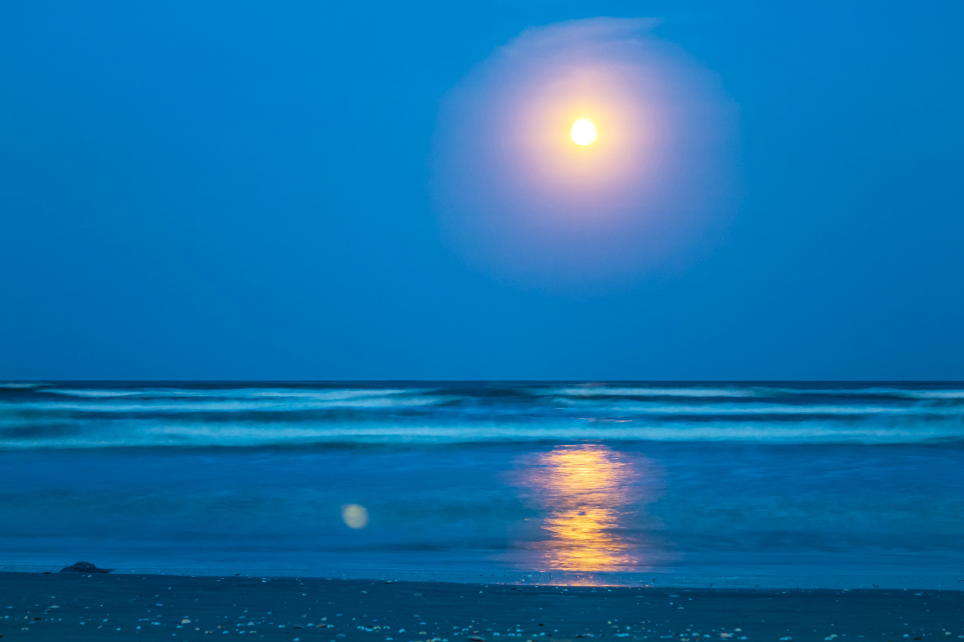 EMBRACING STILLNESS