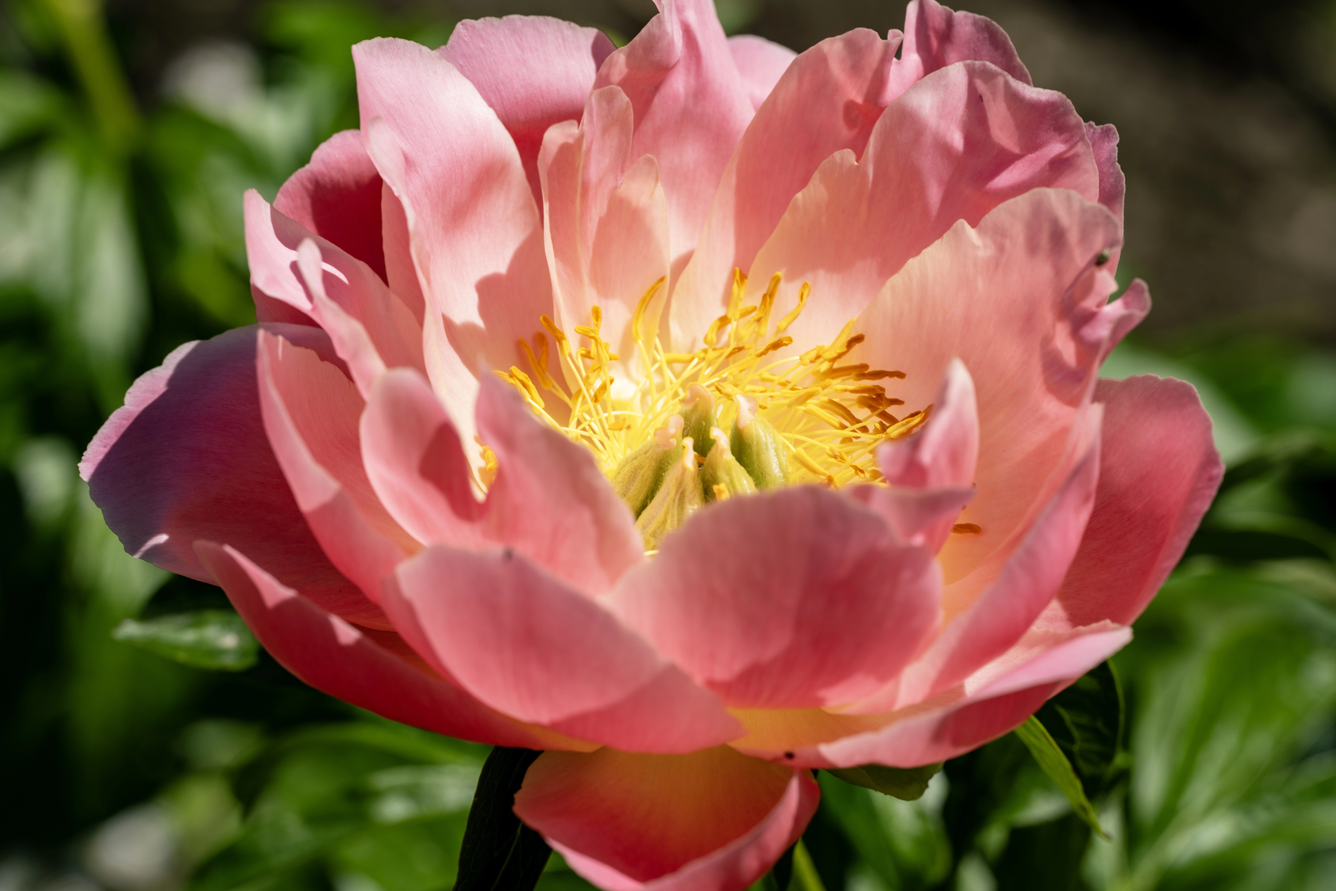 HOW TO BECOME WHOLE?
